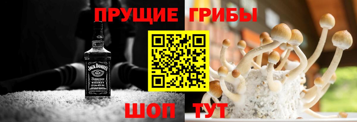 Псилоцибиновые грибы MAGIC MUSHROOMS  Псилоцибиновые грибы ЛСД  Вход с VPN  Выкса 